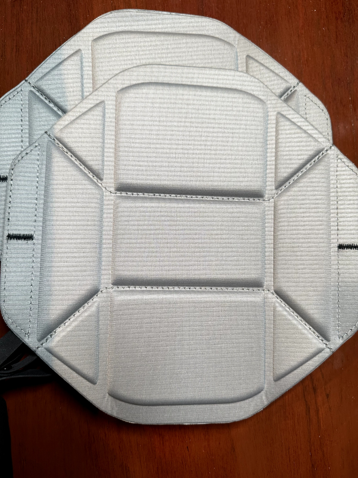 NEW WITH TAGS Peak Design Everyday Backpack 15L Black