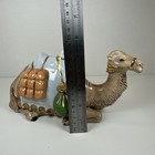 Picture 11 of 11