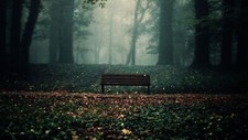 Landscape bench leaves trees fall mist park Custom Gaming Mat Desk