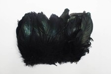 COQUE FRINGE - BLACK 4-6" Feathers 60-80 pcs. Trim/Costume/Bridal/Craft