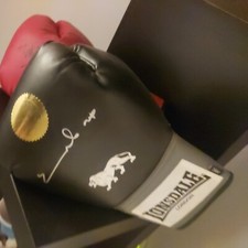 boxing memorabilia signed glove By Chris eubanks Snr