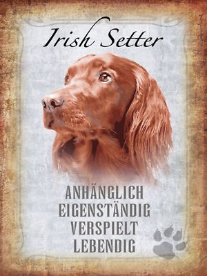 Blechschild 30x40 Irish Setter Hund Wand Deko Cafe Sammler Geschenk