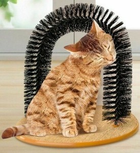 self cat scratcher