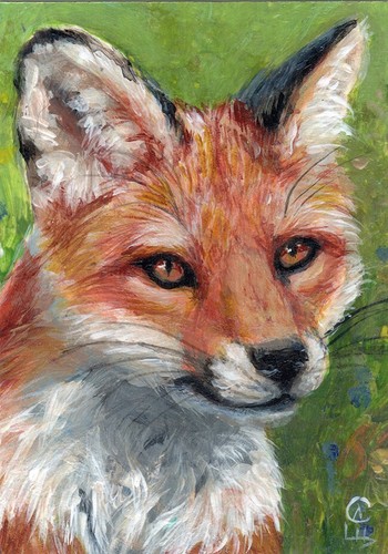 Original ACEO Beautiful Red Fox 23-0064  artist Svetlana Ledneva-Schukina