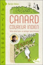 Le canard coureur indien : Votre atout pour un potager sans limaces