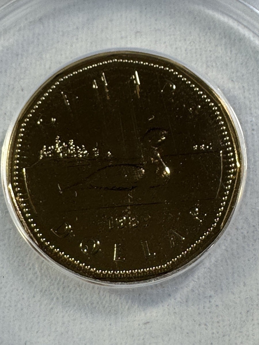 1989 Canada $1 Proof Like Coin Graded MS 68 by ANACS Loonie | eBay