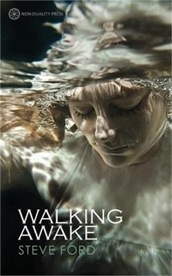 Walking Awake (Paperback or Softback)