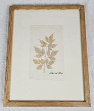 Framed Chinaberry Pressed Leaves Lilas De Perse Leaf Wall Art 16"x12.5" Nature