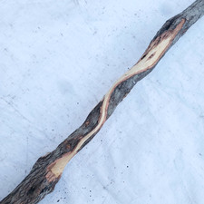 Diamond Willow Carving Wood Blank 51" Walking Stick Very Nice