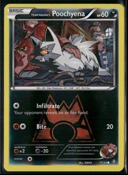 Team Magma's Poochyena 17/34 Double Crisis