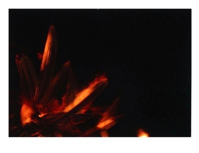 Marc Peschke, After this Darkness, C -Print, 2006, Künstlerexemplar