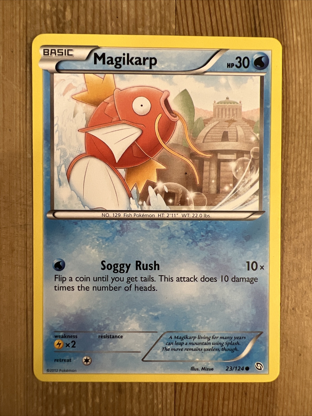 Pokémon TCG Magikarp Dragons Exalted 23/124 Regular Common NM