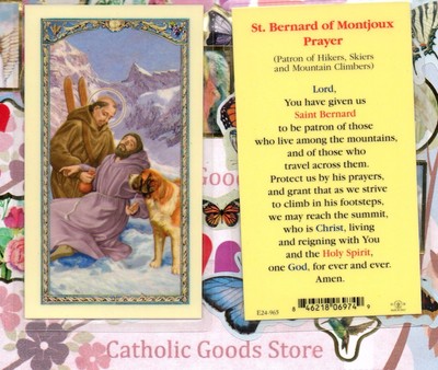 st bernard of montjoux