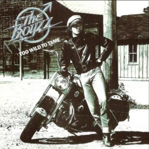The Boyzz Too Wild to Tame (CD) Album - Photo 1/1