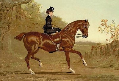 Book of the Horse Samuel Sidney Poster Print