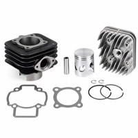 DR Zylinderkit 71Ccm AC (FüR: Piaggio Free 50 FCS1T 93-95 )