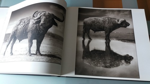 Nick Brandt - Quer durch wüstes Land - 2013 - Bild 3 von 10
