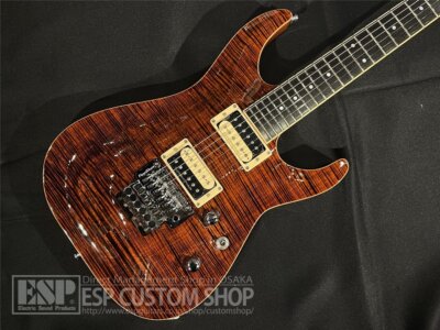 ESP HORIZON-CTM FR/FM Copper Brown Used Electric Guitar