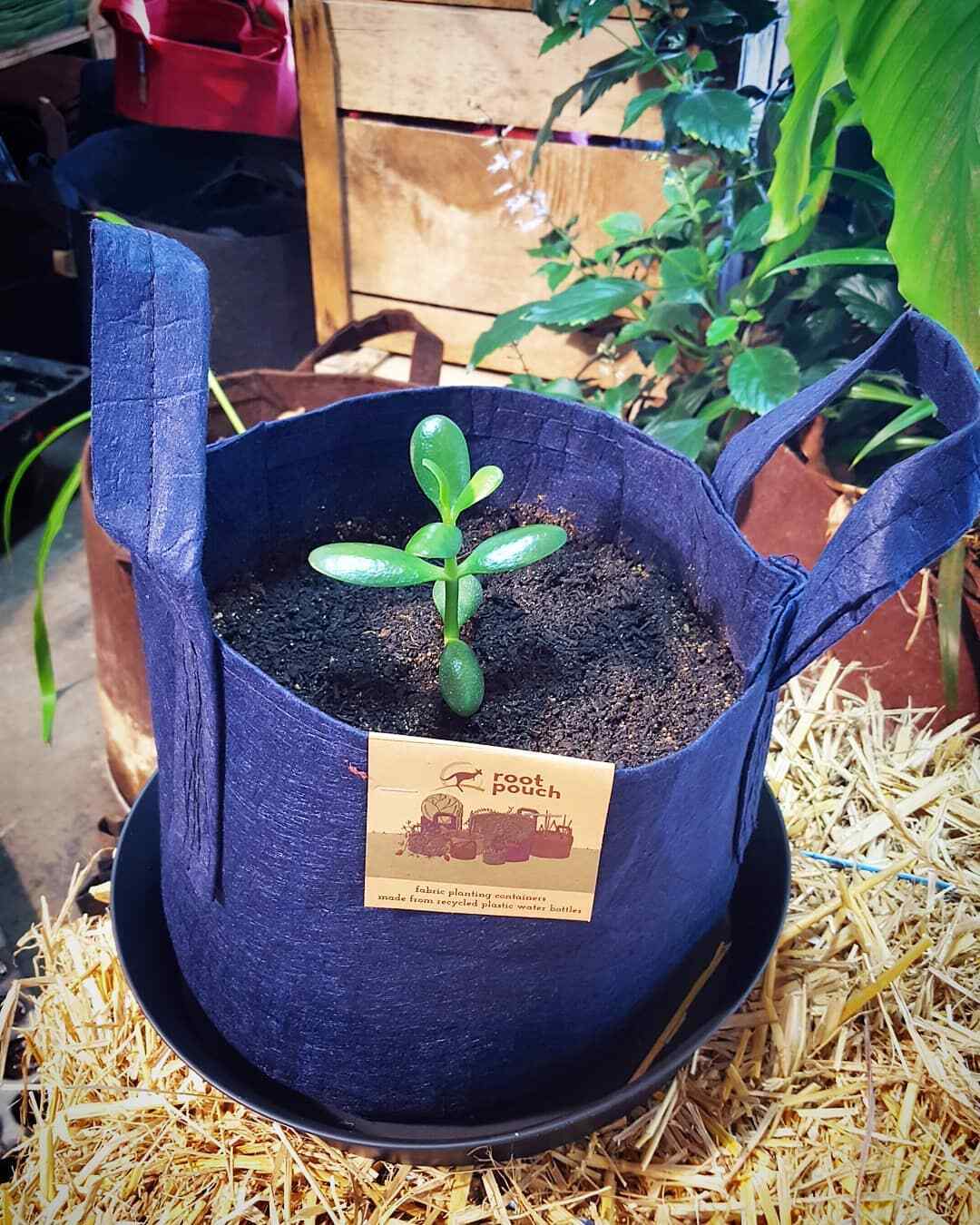 Root Pouch Navy 45L pot en tissu drainant contre le pourrissement des racines - 2