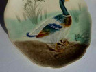 Bild 11 von 11