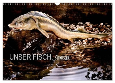 Arne Morgenstern | UNSER FISCH. SÜßWASSER. (Wandkalender 2026 DIN A3 quer),...