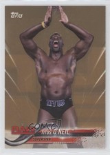 2018 Topps WWE Bronze Titus O'Neil Titus O’Neil #89 9aj