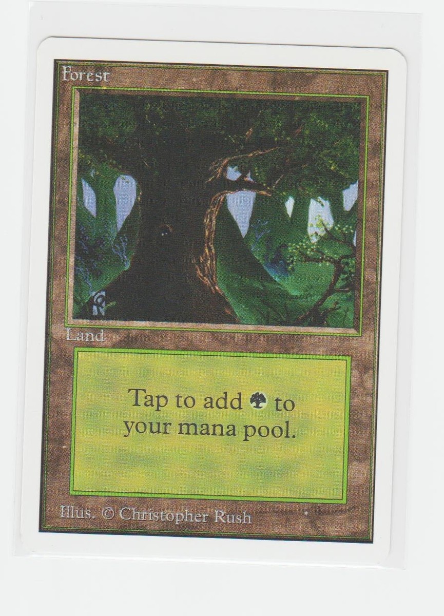 Magic the Gathering ~ MTG ~ 1x Forest (C) ~ UNLIMITED ~ M/NM | eBay
