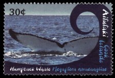 AITUTAKI 582 - Humpback Whale 