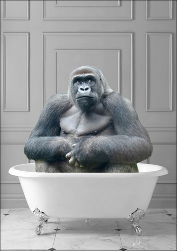 GORILLA IN BATHTUB -QUIRKY ART FRAMED POSTER PICTURE PRINT BATHROOM ARTWORK - Picture 7 of 10