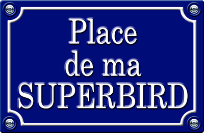 PLACE DE MA SUPERBIRD - 29cm AUFKLEBER STICKER AUTO PR0124