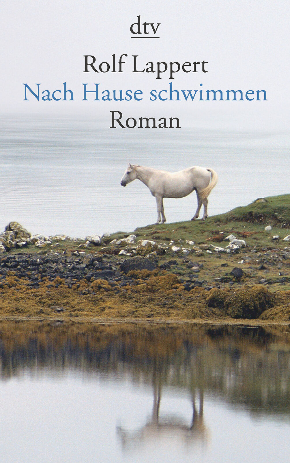 Thumbnail - Rolf Lappert / Nach Hause Schwimmen