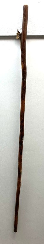 WHISTLE CREEK Brown w Compass Hiking Walking Stick - Size 55"