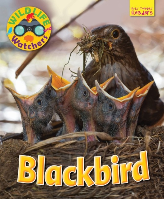 Wildlife Watchers: Blackbird by Ruth Owen (Paperback Book)
