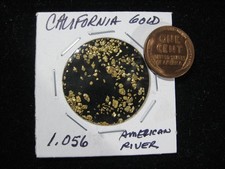 CALIFORNIA GOLD NUGGET AMERICAN RIVER 1.056 GRAMS 5006.89 per troy oz