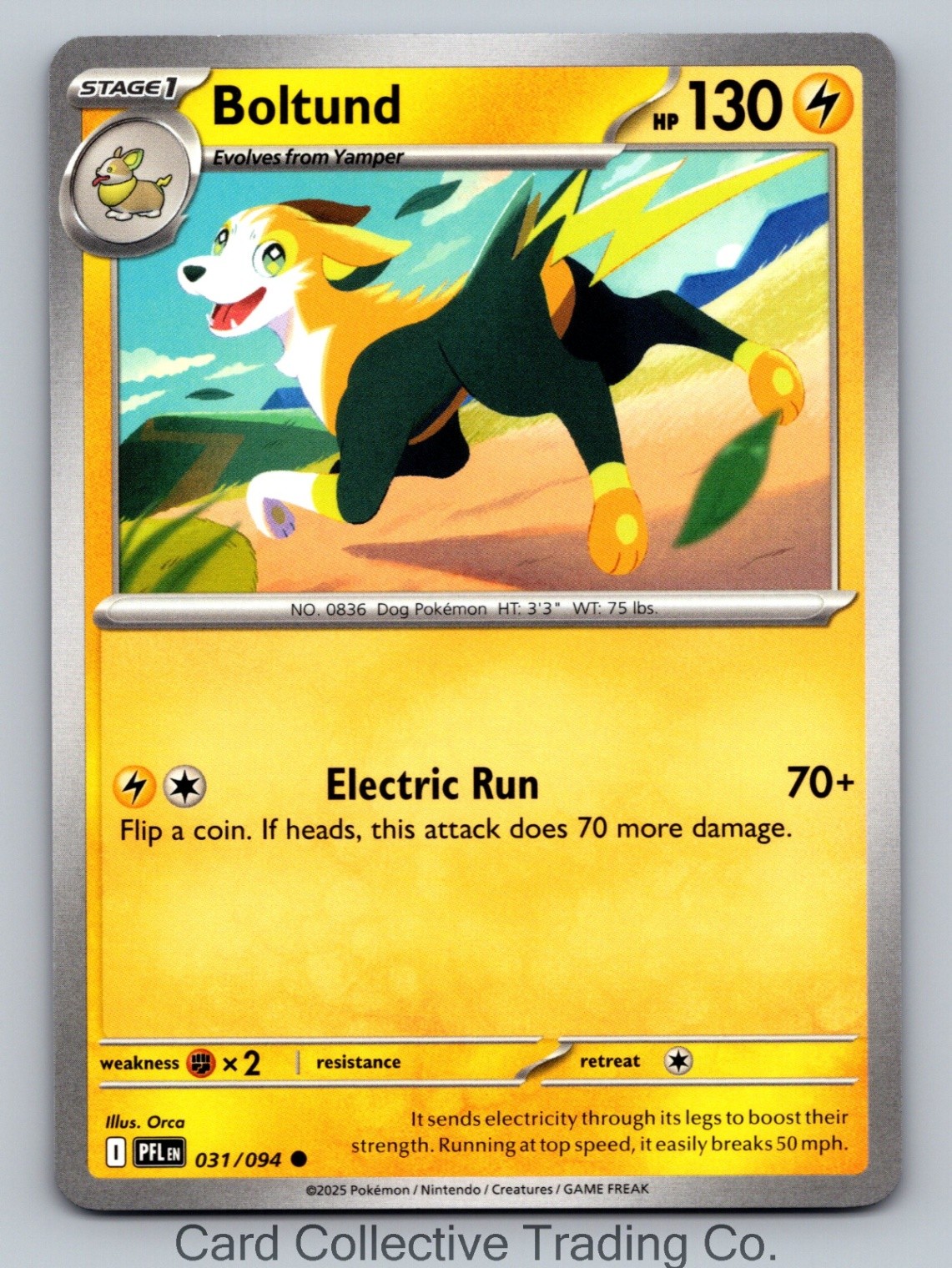 ME02: Phantasmal Flames Boltund 031/094 NM Common