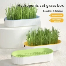 Cat Grass Planting Box Growing Plant Box Hydroponic Soil-Free Cat Snacks