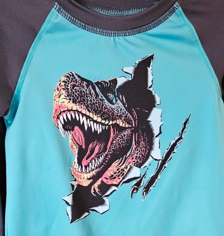 Wonder Nation Baby Boy 18 Month Dinosaur T Rex Swim Set Rash Guard Trunks