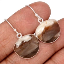 Natural Petrified Wood - Navajo County 925 Silver Earrings Jewelry CE50729