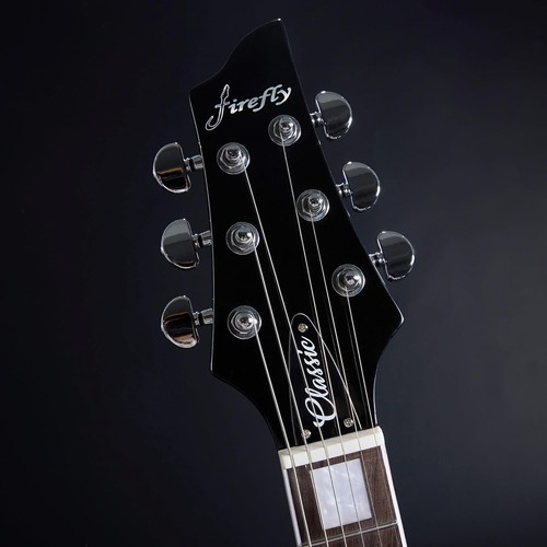 Blueberry Firefly V guitar--new LUTHIER SET UP w/extras -sold out nationwide - Picture 7 of 10