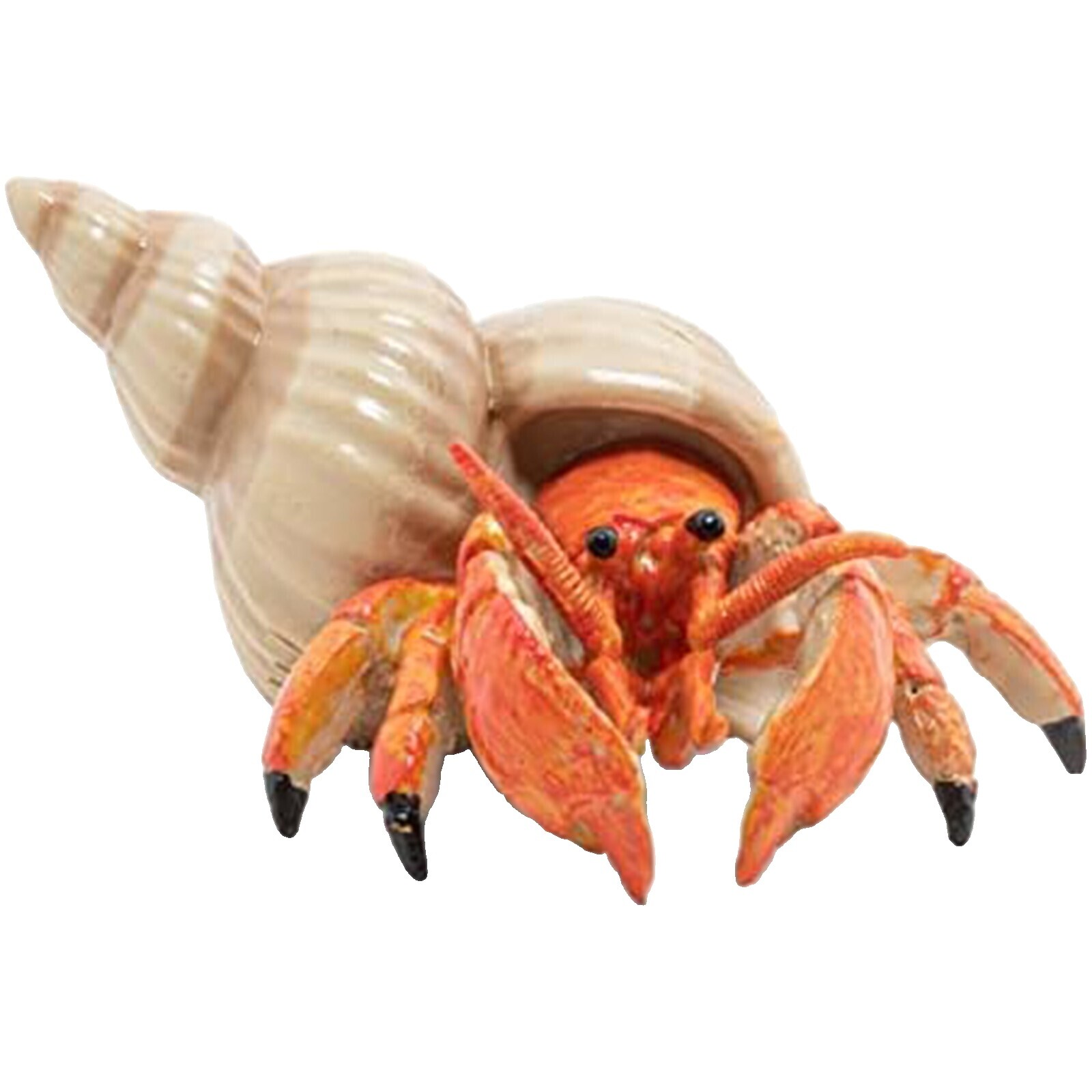 Hermit Crab Toys | eBay