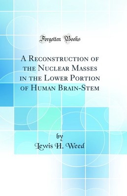 A Reconstruction of the Nuclear Masses in the Lower Portion of Human Brain-Stem
