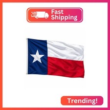 Heavy Duty Outdoor Texas Flag | Made in USA, 3x5 Size, Perfect for Outside