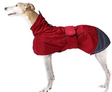 Greyhound & Whippet Winter Dog Coat – Large (24–25 in) – Red