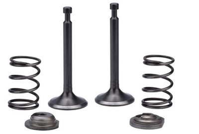 Intake Exhaust Valve Spring For A iPower AP10000E 10000 Watt Generator
