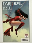 DAREDEVIL: COLD DAY IN HELL #3 STEVE MCNIVEN VARIANT INCENTIVE [1:25]🔥🔥