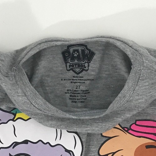 Paw Patrol Heather Gray & Blue Raglan Style Long Sleeve T-shirt Skye & Everest - Picture 3 of 3
