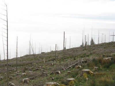Photo A2 Forestry on Druim Dubh Lagg/NR5978 Or, rather, the aftermath. c2014