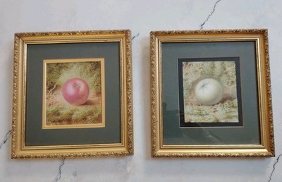 Zwei alte Aquarellbilder nach Daniel Muschel roter Apfel, grüner Apfel 