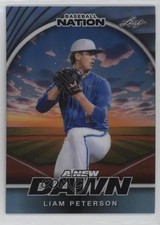 2025 Leaf Baseball Nation Platinum Blue Prismatic 1/3 Liam Peterson #NB-71 0u66