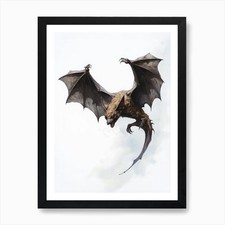 Flying Fox Bat Vintage Illustration Framed Wall Art Poster Canvas Print Picture
